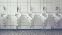 toaleta toilet-1542514 1280